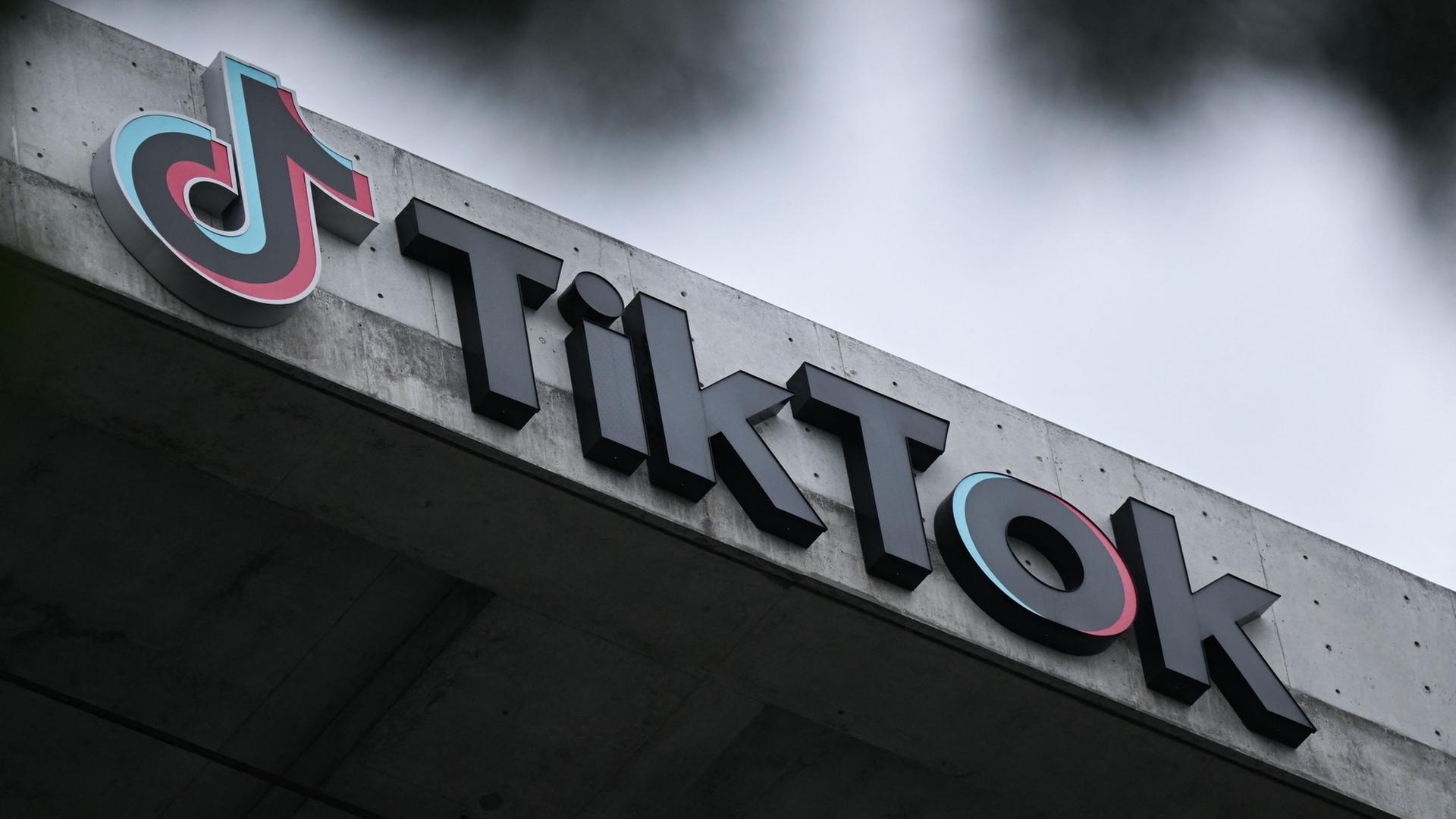 TikTok Lawsuit, US Government Ban TikTok