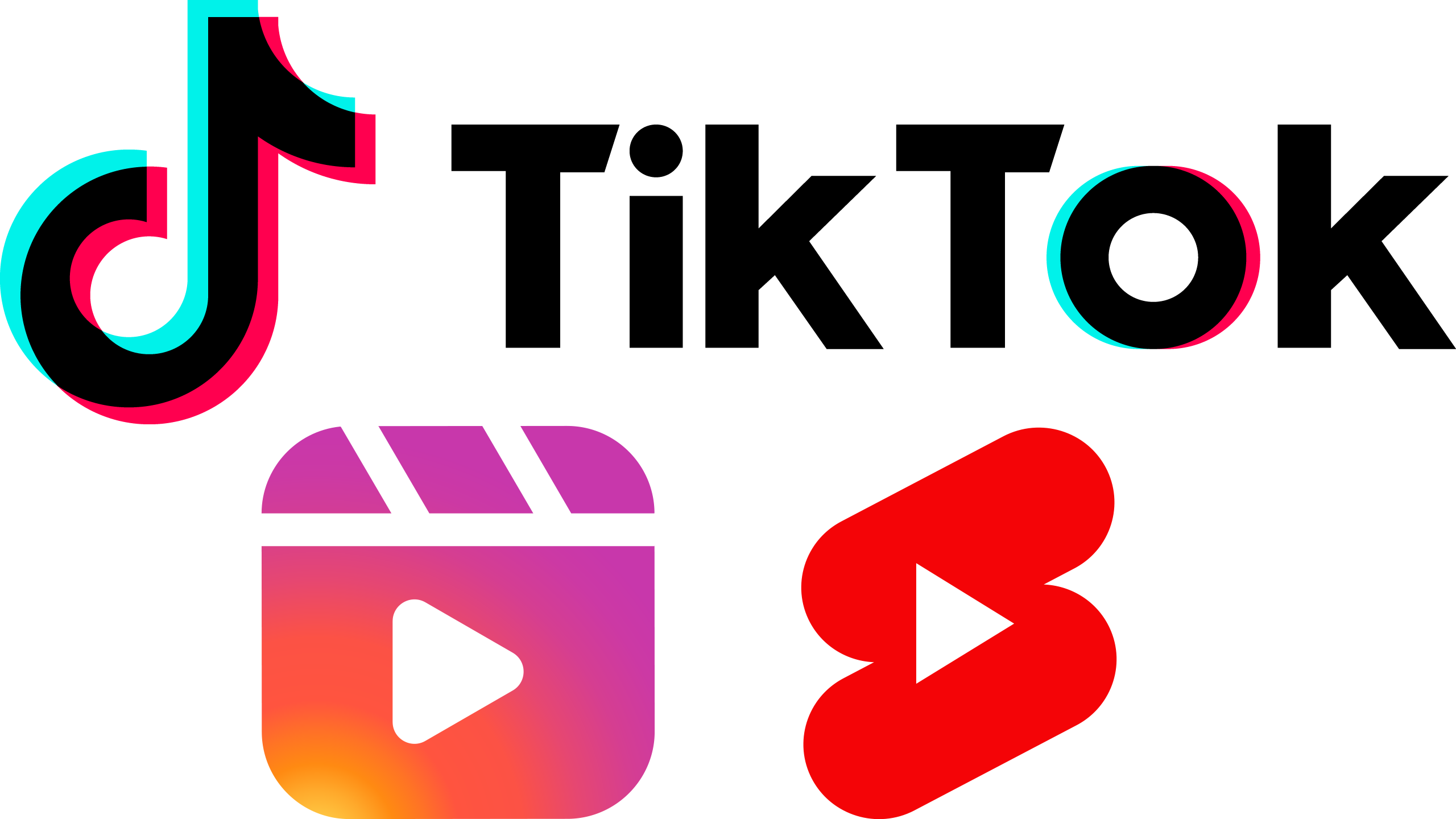 Tiktok Video Downloader